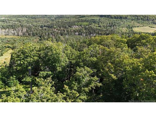 Sugar Camp Hillside, Elgin, NB 