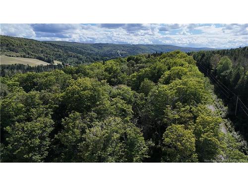 Sugar Camp Hillside, Elgin, NB 