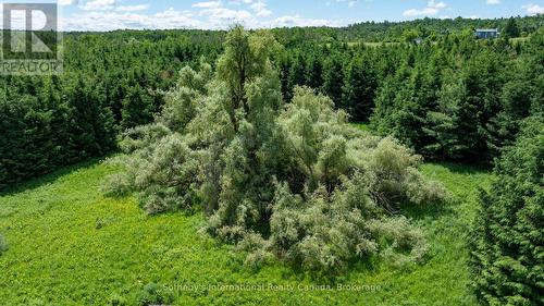 Lot 14 Con 2 1St Line E Ehs, Mulmur, ON 