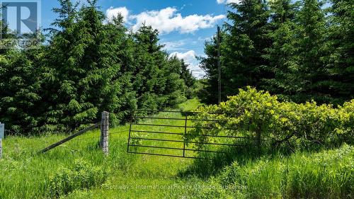 Lot 14 Con 2 1St Line E Ehs, Mulmur, ON 