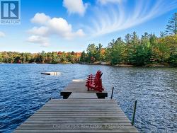 11 - 1158 CRANBERRY ROAD  Muskoka Lakes (Medora), ON P0C 1A0