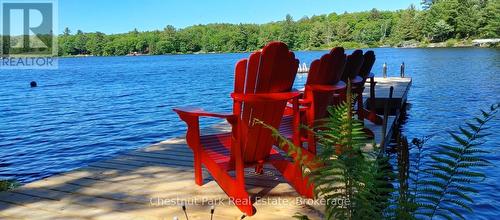 11 - 1158 Cranberry Road, Muskoka Lakes (Medora), ON 