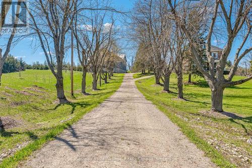 Long treedline driveway - 717218 1St Line E Ehs, Mulmur, ON 