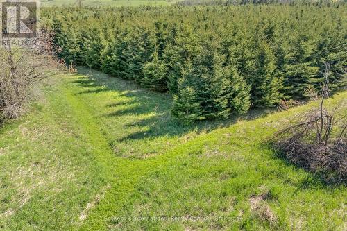 Trails - 717218 1St Line E Ehs, Mulmur, ON 