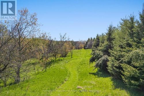 Trails - 717218 1St Line E Ehs, Mulmur, ON 