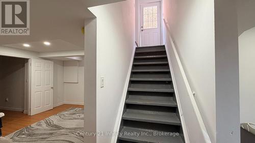 BASEMENT - 5 DUSK OWL DRIVE , Toronto (Rouge), Ontario M1X 1Y1 3