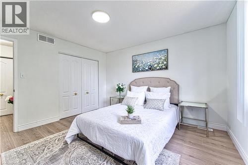 Wood-finish flooring with white baseboards - 168 Copper Leaf Street, Kitchener, ON 