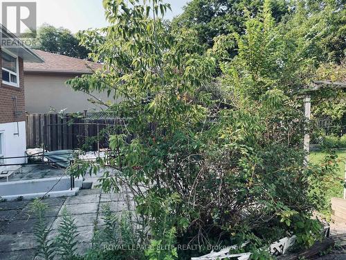 13 Joseph Street, Mississauga, ON 
