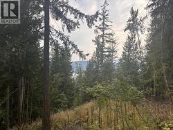 Lot 151 Columbia Drive  Anglemont, BC V0E 1M8
