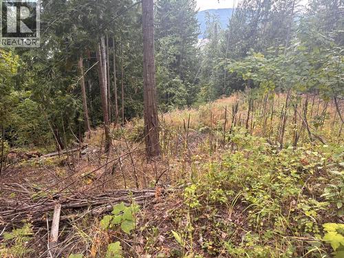 Lot 151 Columbia Drive, Anglemont, BC 