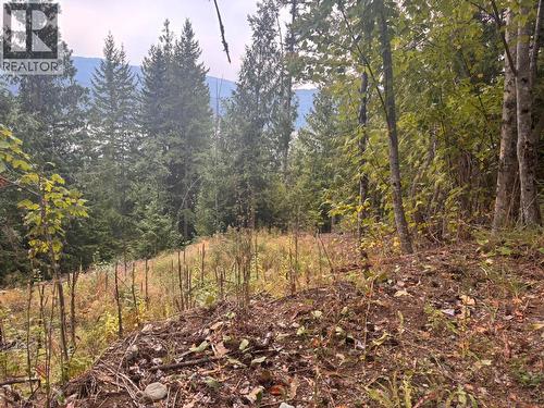 Lot 151 Columbia Drive, Anglemont, BC 