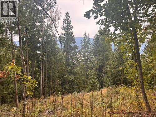 Lot 151 Columbia Drive, Anglemont, BC 