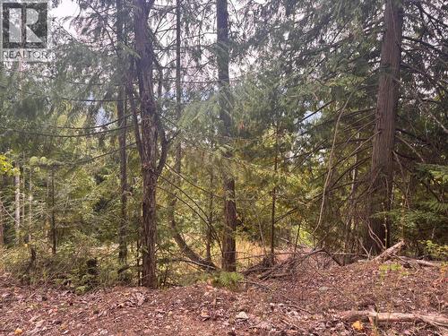 Lot 151 Columbia Drive, Anglemont, BC 