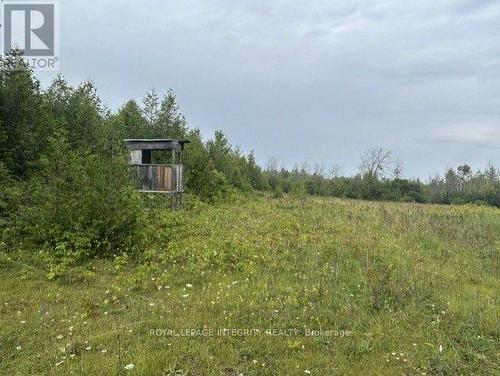 Hunt Stand - 0 Armstrong Road, Merrickville-Wolford, ON 