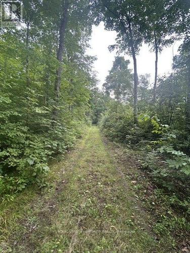 Road - 0 Armstrong Road, Merrickville-Wolford, ON 