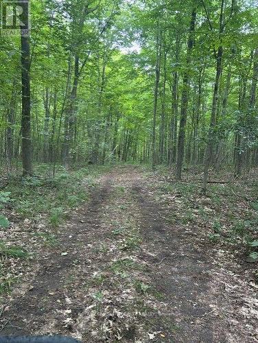 Road/trails - 0 Armstrong Road, Merrickville-Wolford, ON 