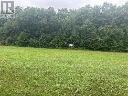 0 Armstrong Road, Merrickville-Wolford, ON 