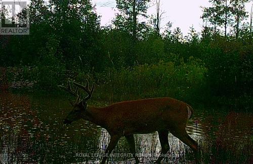 0 Armstrong Road, Merrickville-Wolford, ON 