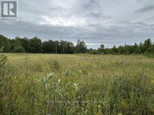 0 Armstrong Road, Merrickville-Wolford, ON 