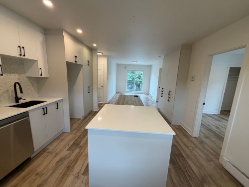 Kitchen - 360 Rue Castonguay, Saint-Jérôme, QC 