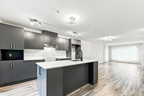 Kitchen - 4510 Rue La Perrière, Longueuil (Saint-Hubert), QC 
