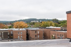 View - 