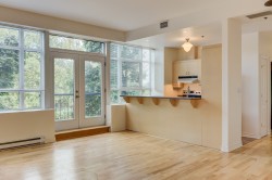 Kitchen - 