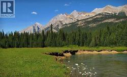 4227-4233 Beaverfoot Forest Service Road  Golden, BC V0A 1H0