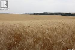 214.99 Acres Grainland Near Willow Bunch  Willow Bunch Rm No. 42, SK S0H 4K0