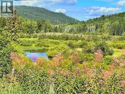 2261 EAGLE CREEK ROAD Canim Lake, BC V0K 1J0