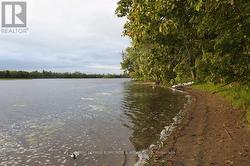 0 BUTTERNUT ISLAND Whitewater Region, ON K0J 1C0