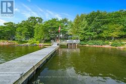 Dock - 