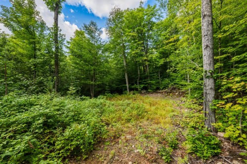 Terre/Terrain - Ch. Du Lac-Thomas, Saint-Didace, QC 