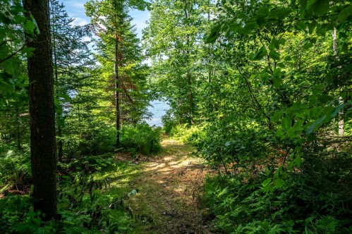 Accès au plan d'eau - 1606 Ch. Bunn, Saint-Sauveur, QC 
