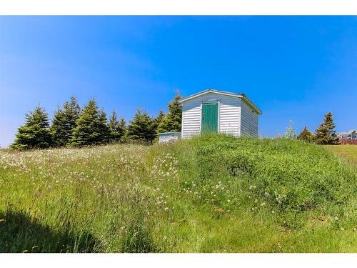 69 Harbour Road, Witless Bay, NL 