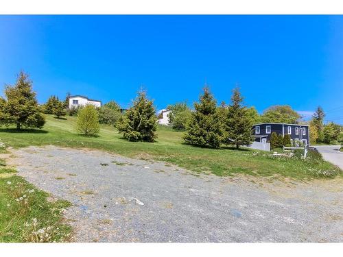 69 Harbour Road, Witless Bay, NL 
