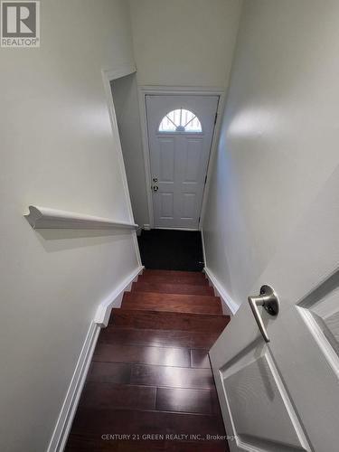 Bsmt - 37 Ravenview Drive, Toronto, ON 