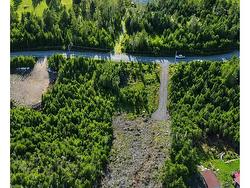 0 Ostrea Lake Road Pleasant Point, NS B0J 2L0