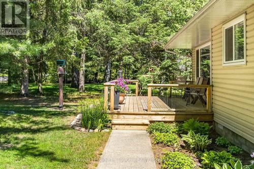 19 Adelard Road, Tiny, ON 