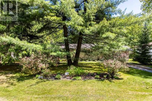 19 Adelard Road, Tiny, ON 
