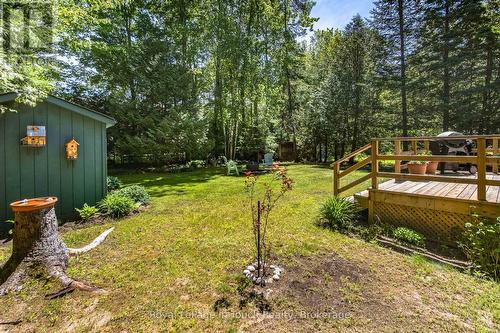 19 Adelard Road, Tiny, ON 