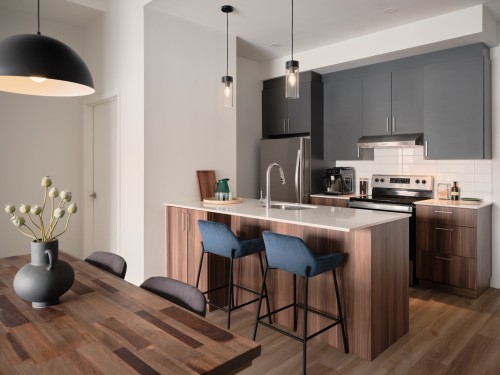 Kitchen - 250  - 270 Rue De La Cabinetterie, Saint-Jean-Sur-Richelieu, QC 