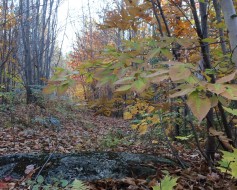 5e Rang Sainte-Julienne, QC J0K 2T0