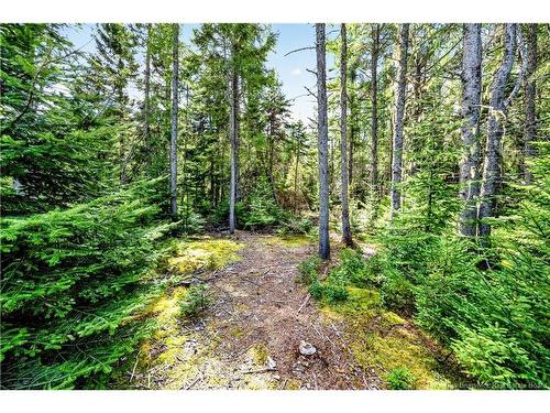 175 Daigle Rd, Pointe-Sapin, NB 