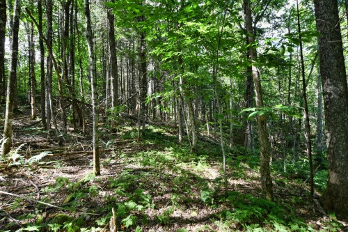 Extérieur - 4034  - 4036 Ch. Du Lac-Gratten, Rawdon, QC 