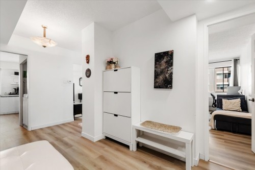Hall d'entrée/Vestibule - 804-6635 Ch. Mackle, Côte-Saint-Luc, QC 