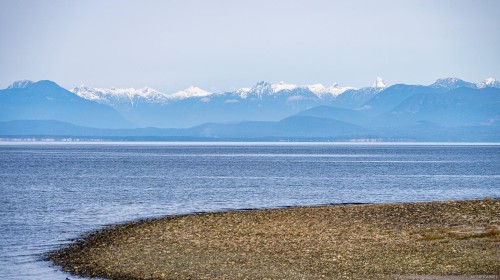 1426 Wilkinson Rd, Comox, BC 