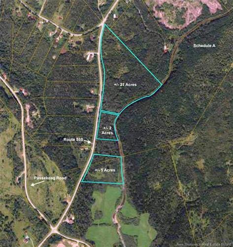 - Route 860, Salt Springs, NB 