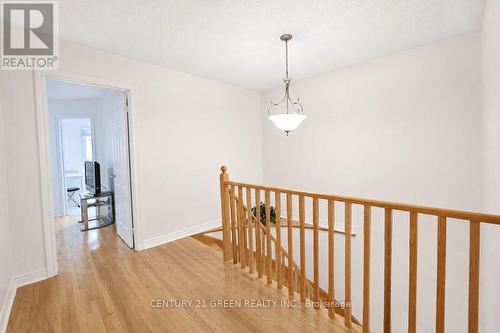 1446 Grossi Street, Mississauga, ON 