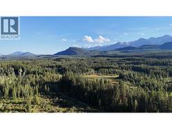 4265 Giant Mine Road  Spillimacheen, BC V0A 1P0